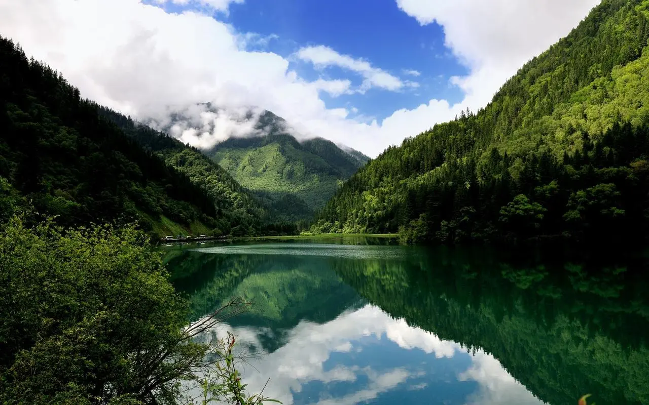 智慧稳定性
